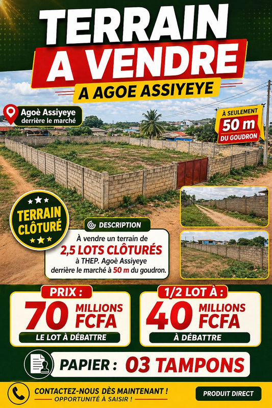 Terrain de 1500 m² en vente à Agoè Assiyeyé – 70 millions FCFA