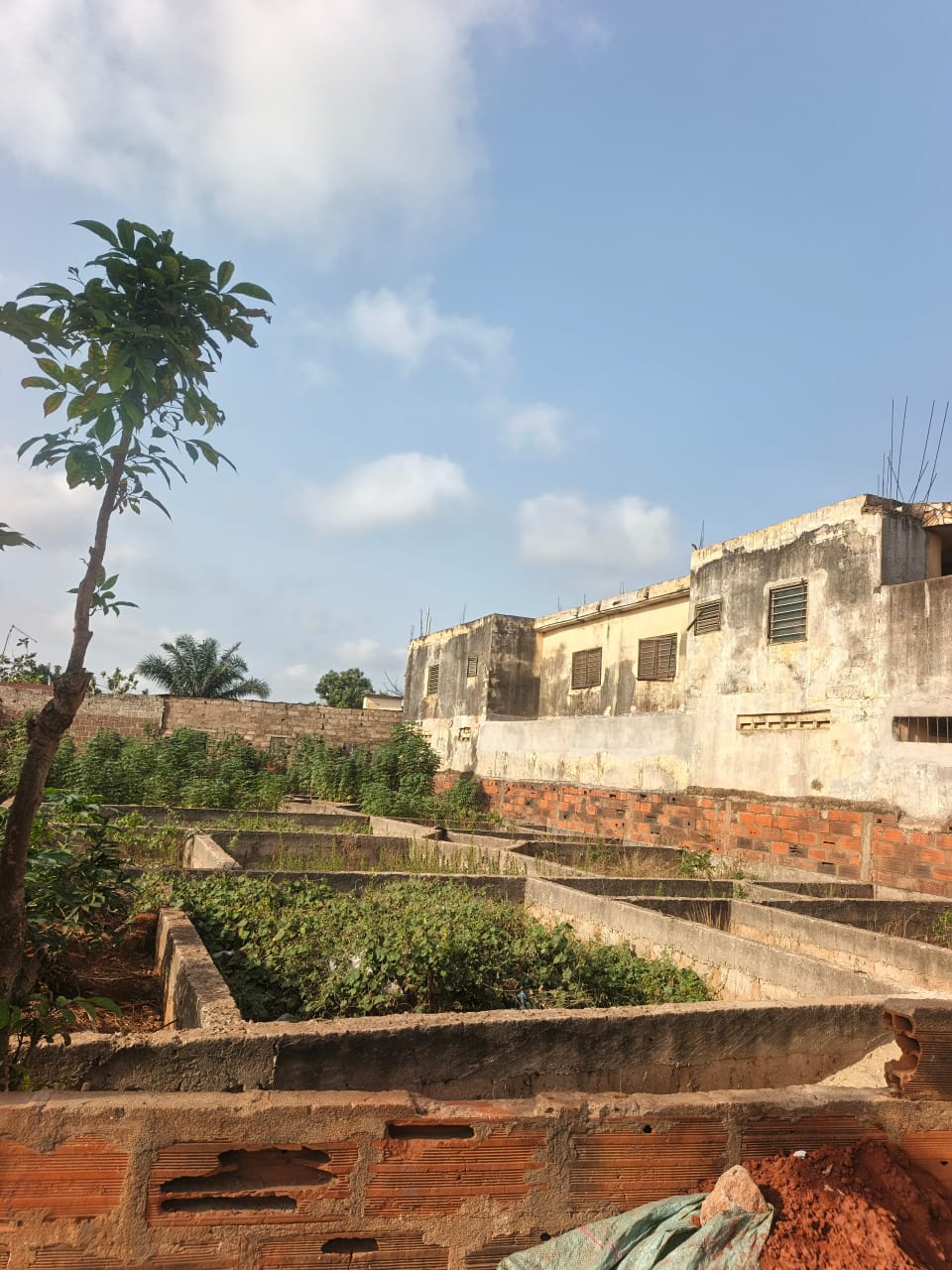 Terrain de 667 m² en vente à Agoè Atchanve – 33 millions FCFA