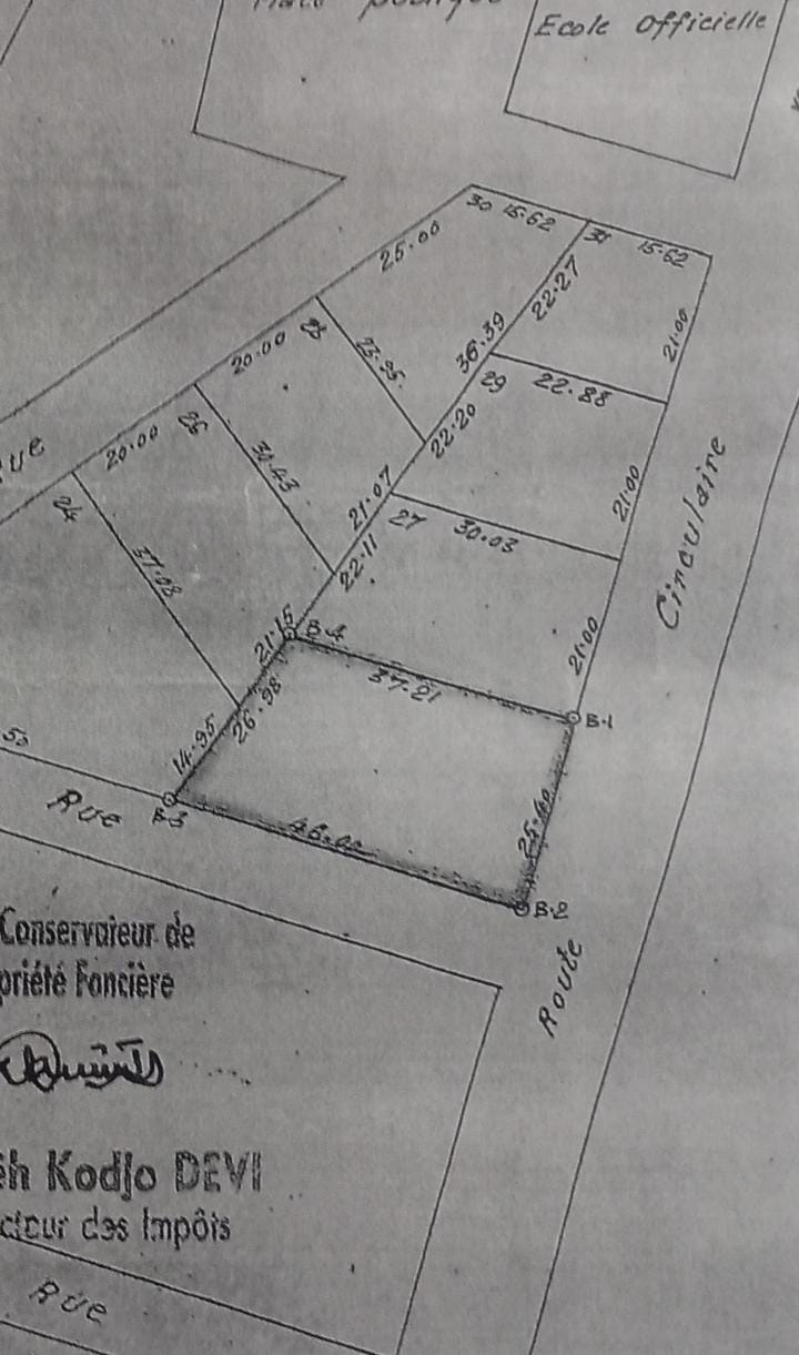 Terrain de 1057 m² en angle de rue à vendre à Akodessewa – 250 millions FCFA