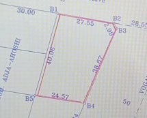 Terrain 1,5 lot en vente en angle de rue au bord du goudron à Djagblé – 180 millions FCFA