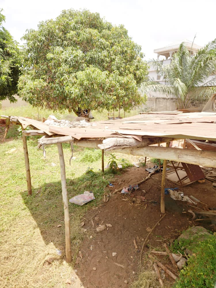 Demi-lot de 300 m² en vente à Agoè Sogbossito – 15 millions FCFA