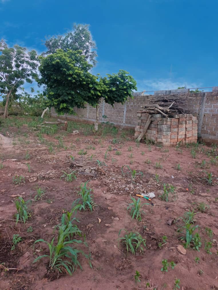 Terrain de 600 m² en vente à Aképé – 10 millions FCFA