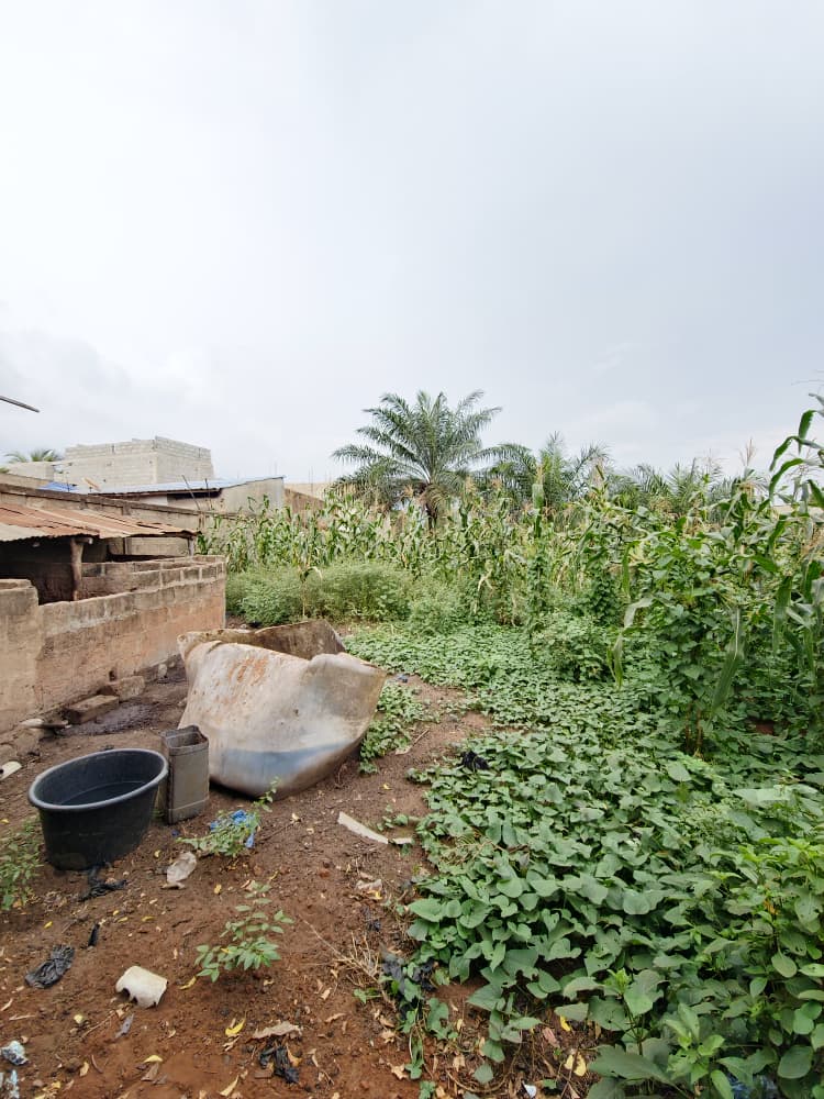 Terrain à vendre à Légbassito – 35 Millions FCFA