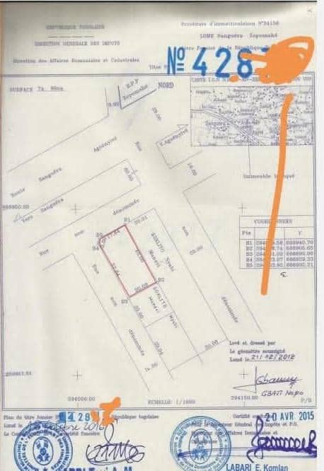 Terrain à vendre à Zanguéra – 30 Millions FCFA