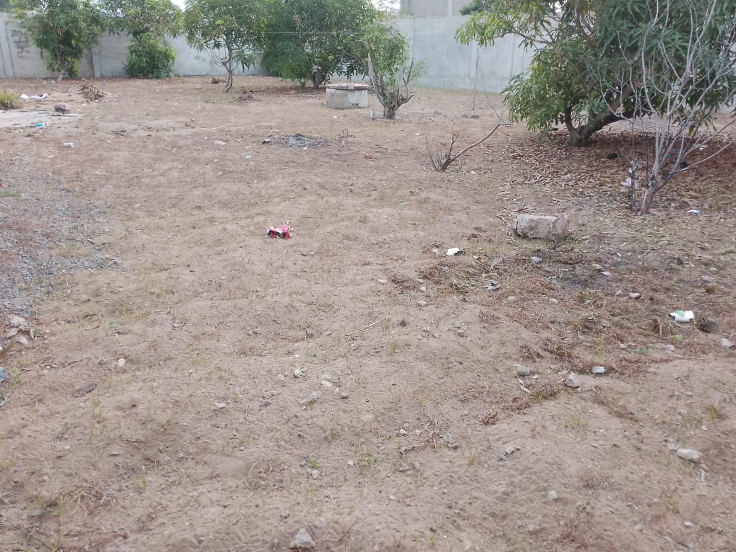 Terrain 1 lot en vente à Avepozo – 45 millions FCFA