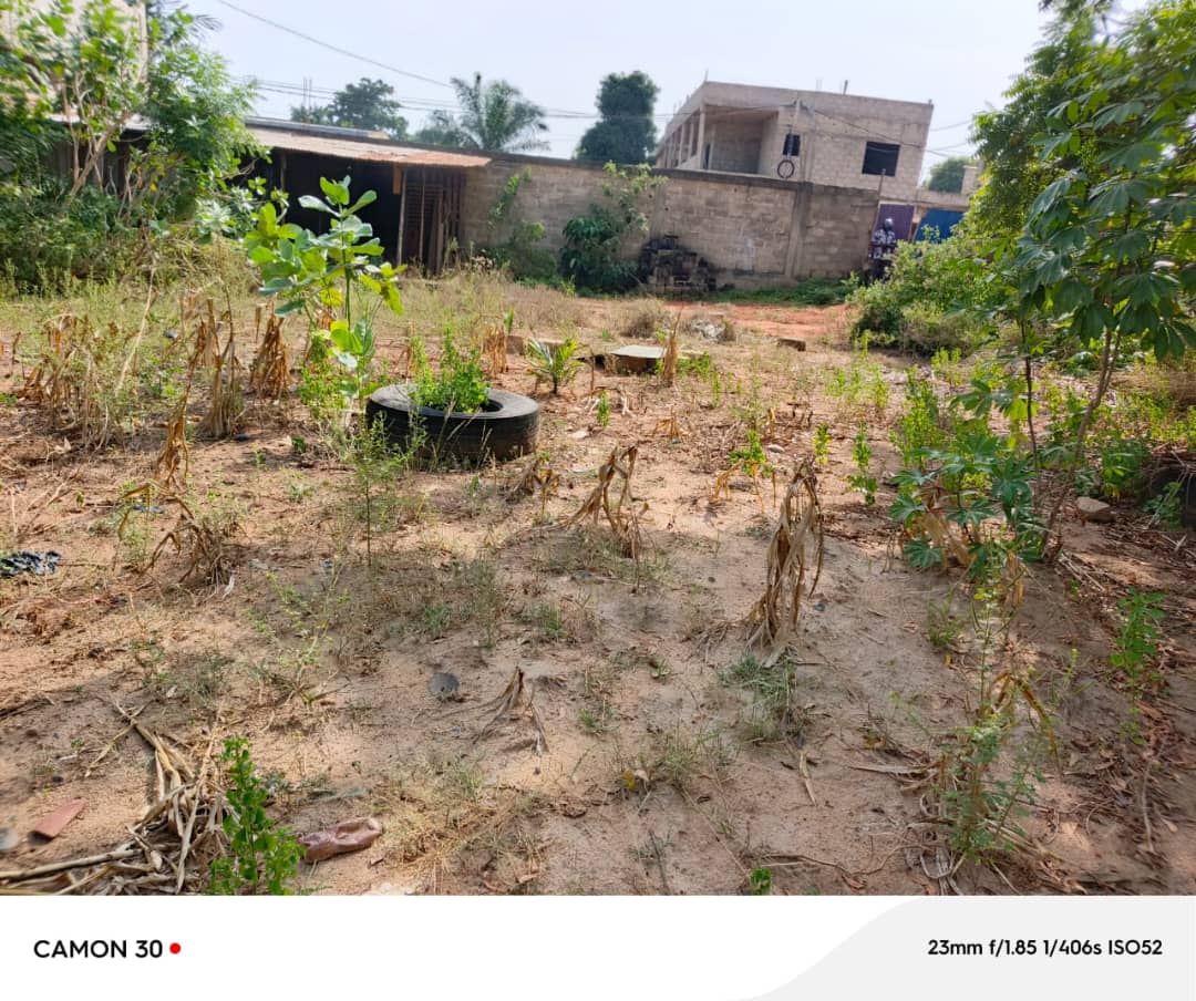 Terrain de 600 m² en vente à Agoè Demakpoè – 26 millions FCFA