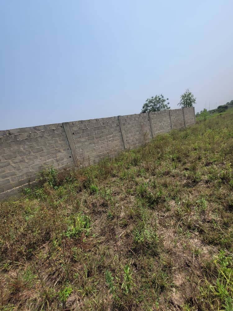 2 lots en vente à Adroukpapé, proche du goudron – 4.5 millions FCFA le lot