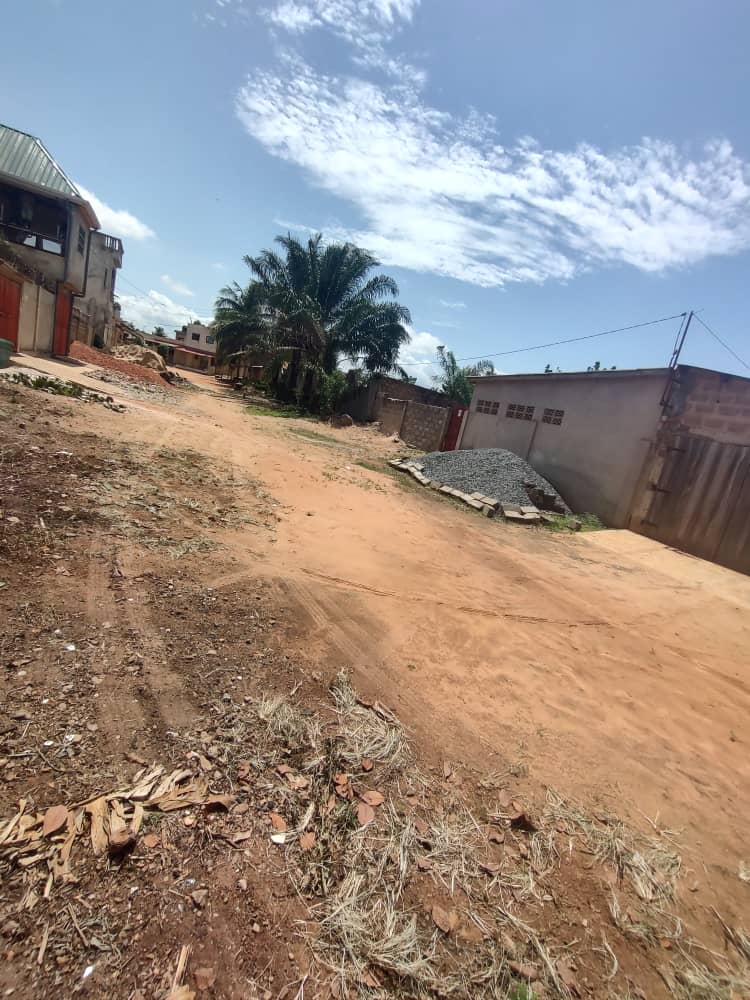 Terrain 1/4 lot en vente à Attigangomé Apédokoe – 7 millions FCFA