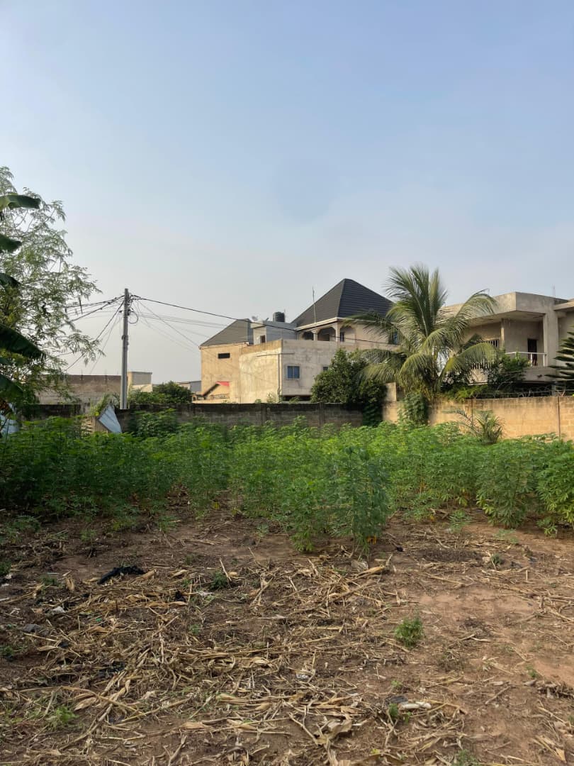 Terrain à vendre à Agoè – 20000000 FCFA