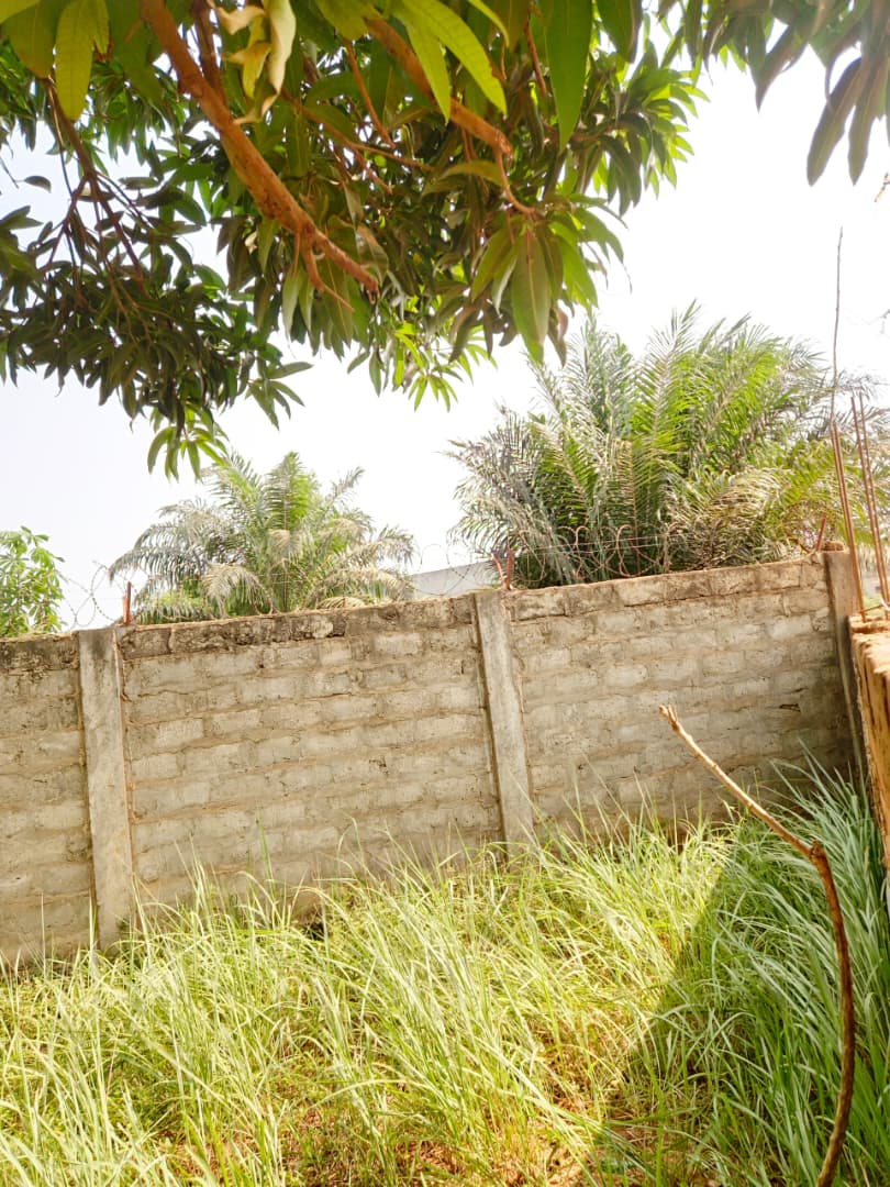 Terrain de 150 m² en vente à Légbassito face marché – 9 millions FCFA