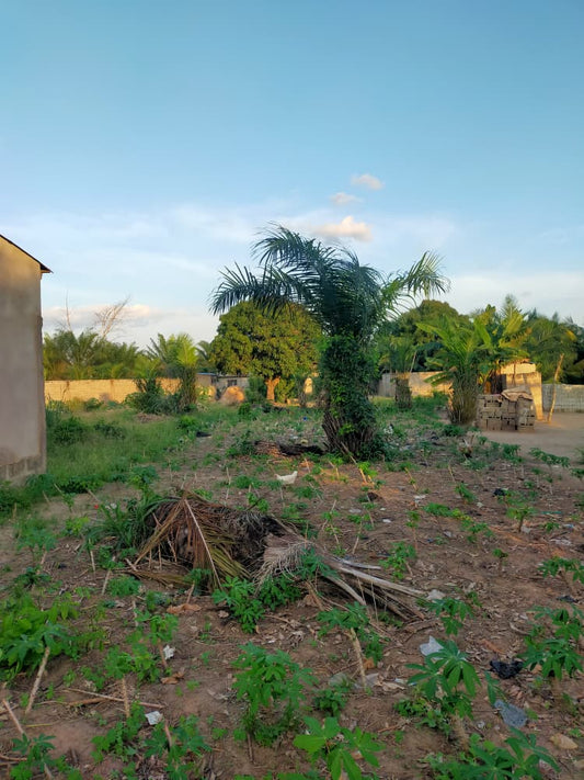 Terrain de plus d'un demi lot en vente à Adétikopé – 4 millions FCFA