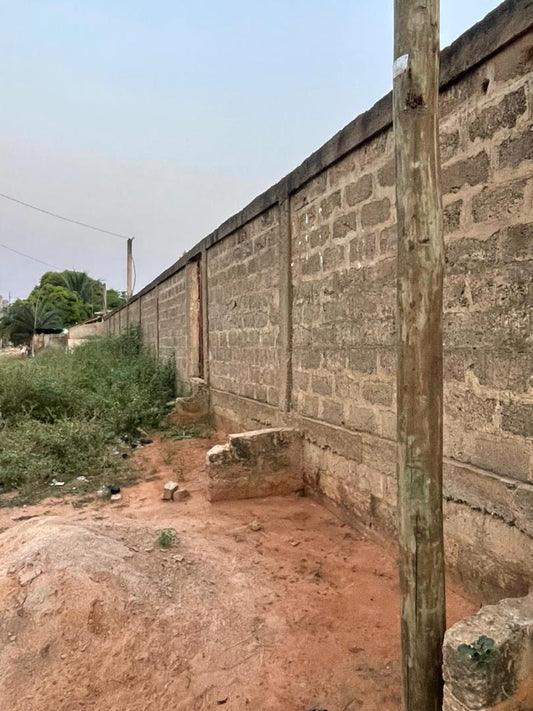 Terrain de 1000 m² en vente à Zanguera – 33 millions FCFA