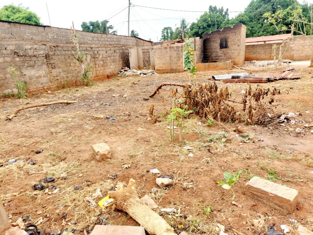 Terrain de 600 m² en vente à Agoè Assiyéyé – 40 millions FCFA
