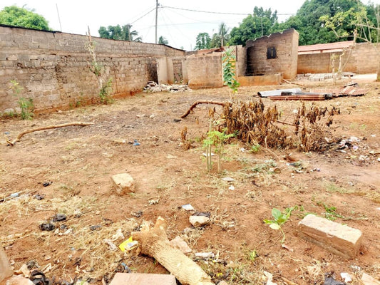 Terrain de 600 m² en vente à Agoè Assiyéyé – 40 millions FCFA