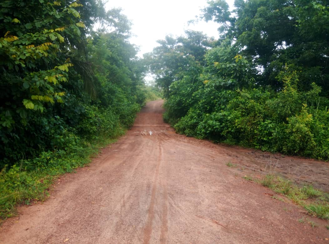 Terrain de 30 hectares en vente à Kpevego – 5 millions FCFA l'hectare