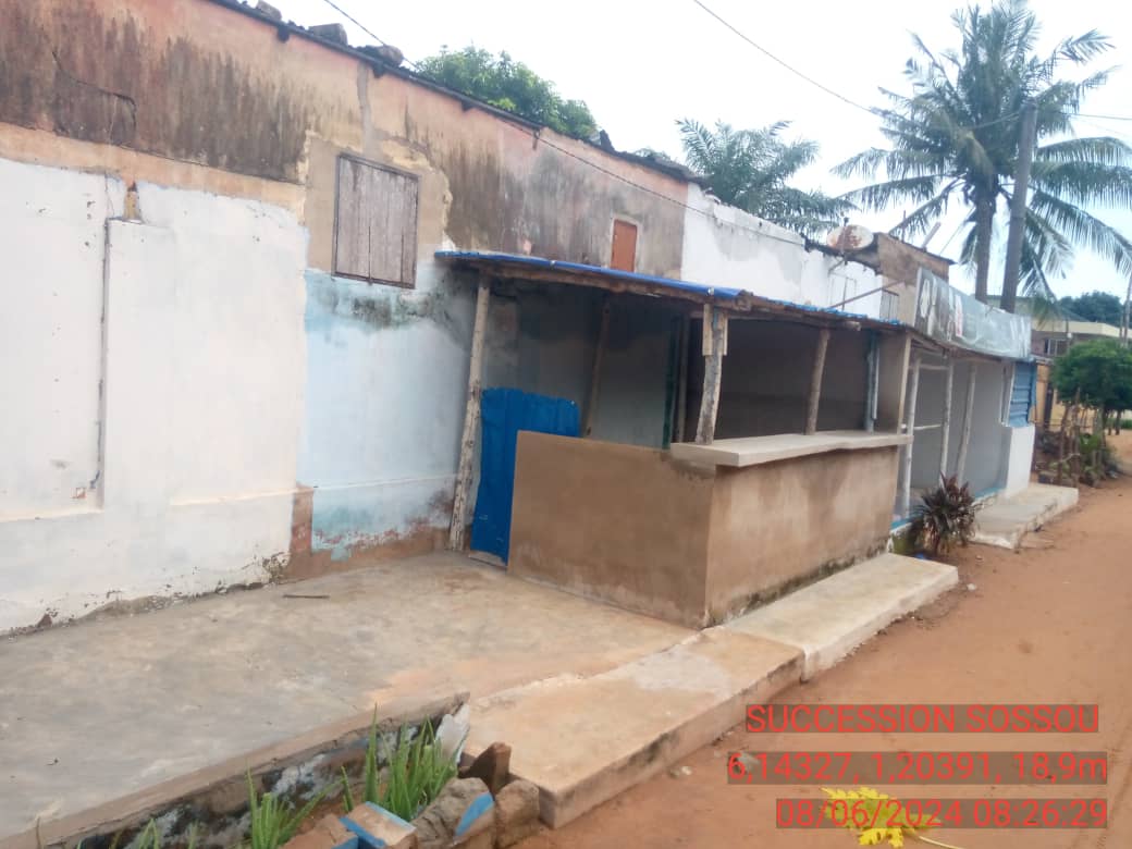 Terrain de 612 m² en angle de rue à vendre à Tokoin Protestant – 85 millions FCFA