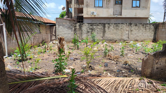 Trois ¾ Lot de terrain en angle de rue à Djidjolé – 40 millions FCFA