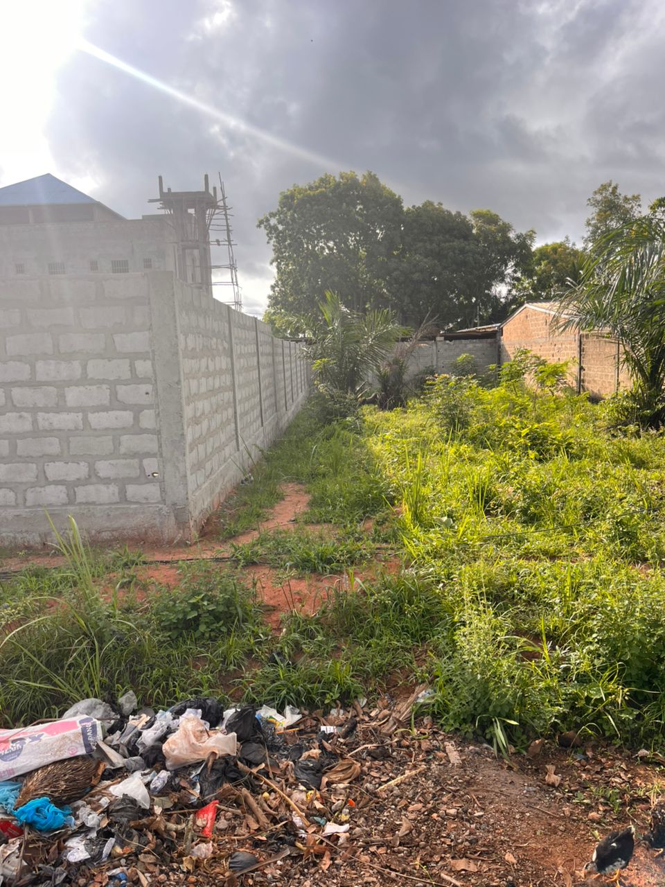 Terrain de 300 m² en vente à Zanguera – 10 millions FCFA