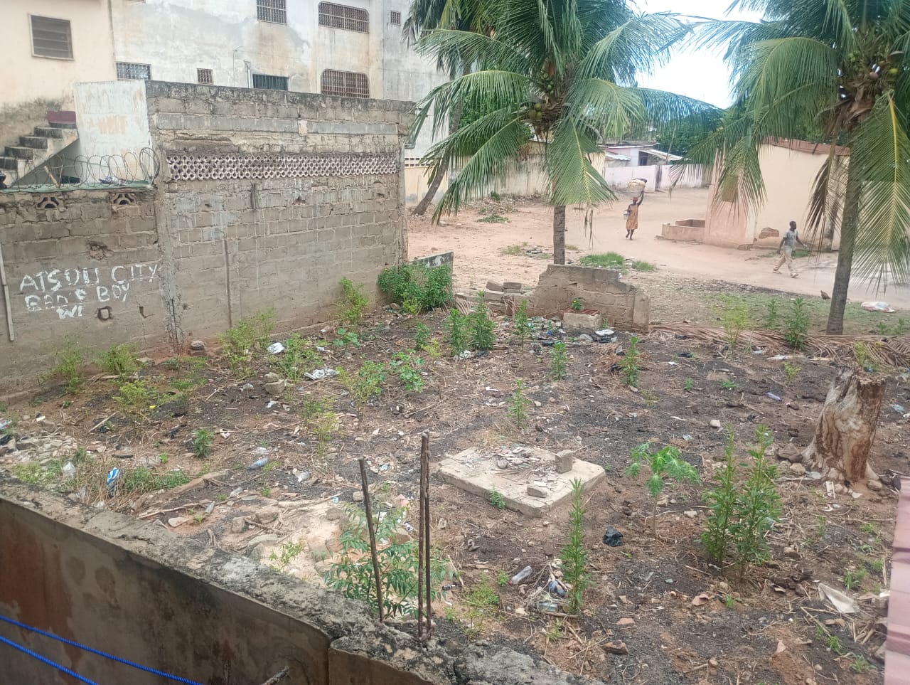 Terrain d'un quart de lot carré en vente à Totsi – 15 millions FCFA