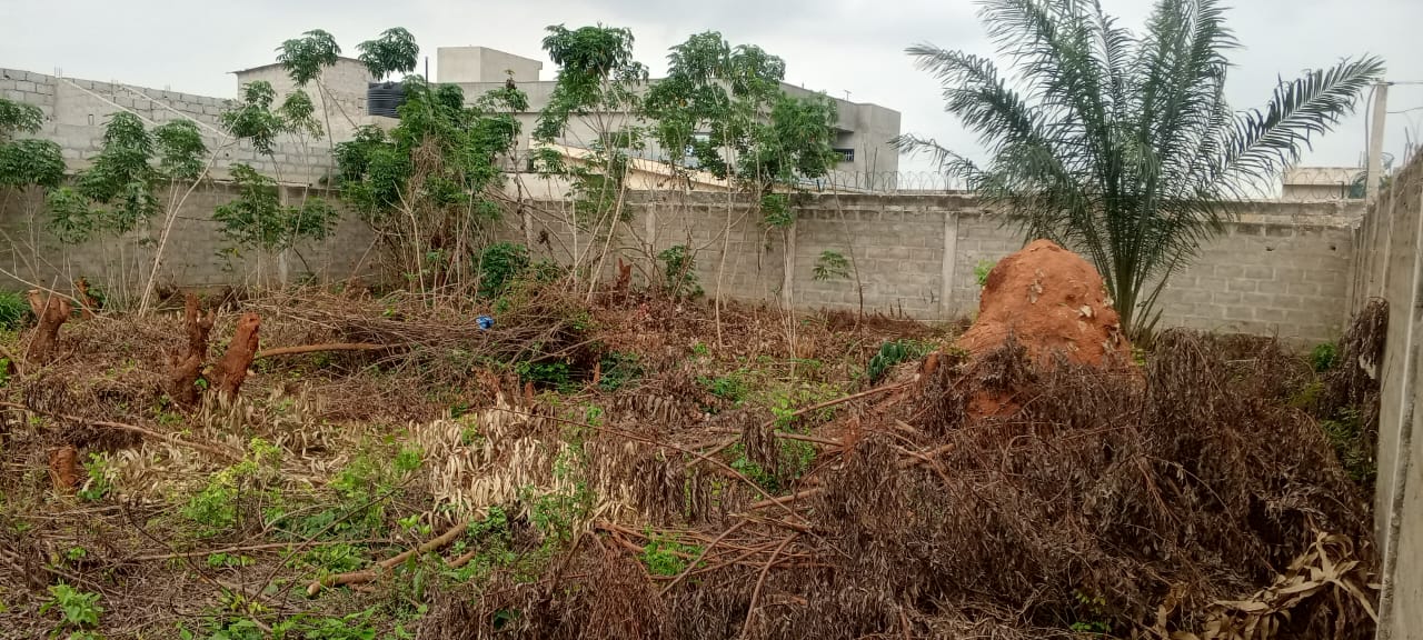 Terrain à vendre à Zanguéra – 30 Millions FCFA