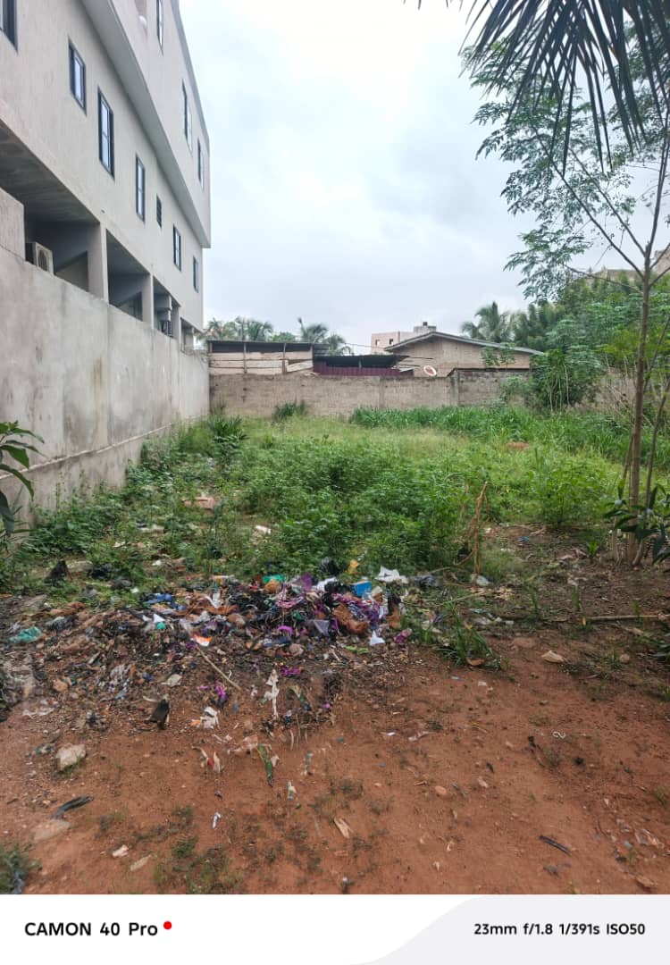 Terrain 1/2 lot (300 m²) en vente à Zanguera-Maco – 17 millions FCFA
