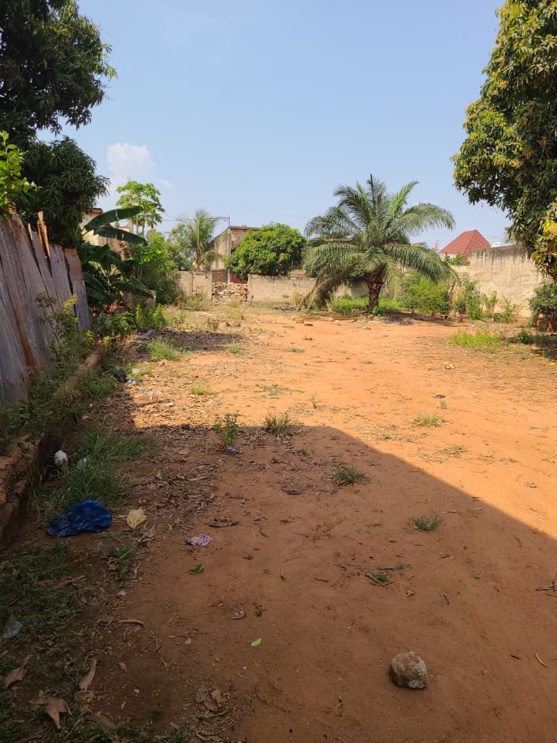 Terrain à vendre à Agoe Kossigan – 65 Millions FCFA