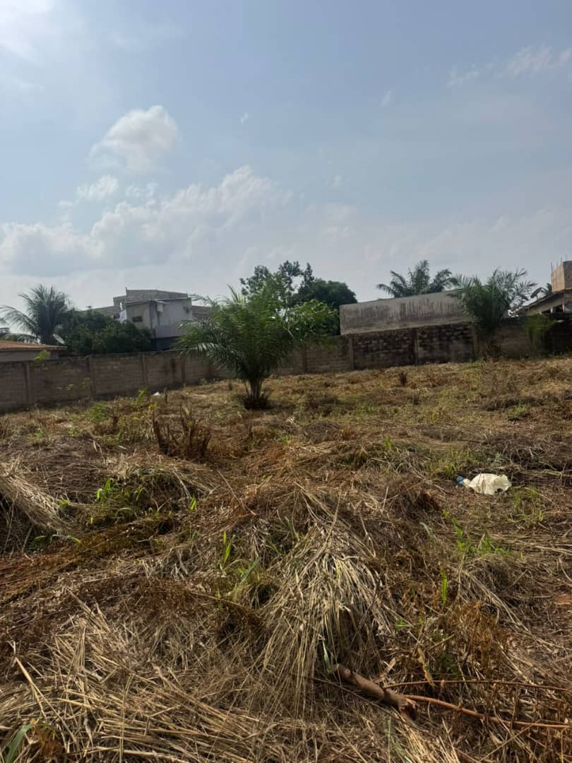 Terrain de 1000 m² en vente à Zanguera Klémé – 11 millions FCFA le demi-lot