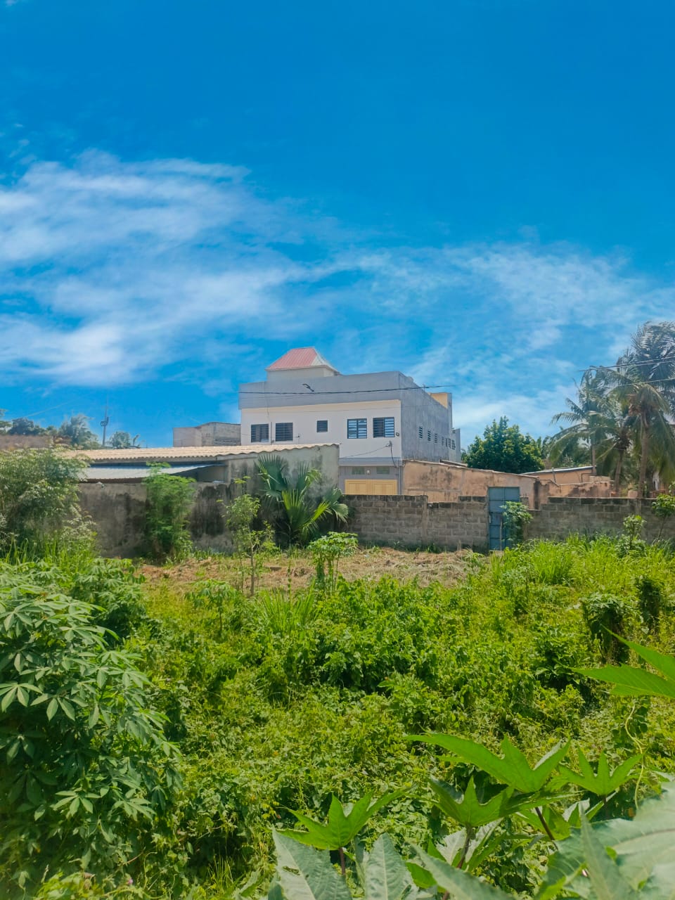 Terrain (1/2 lot) en vente à Zanguera – 23 millions FCFA
