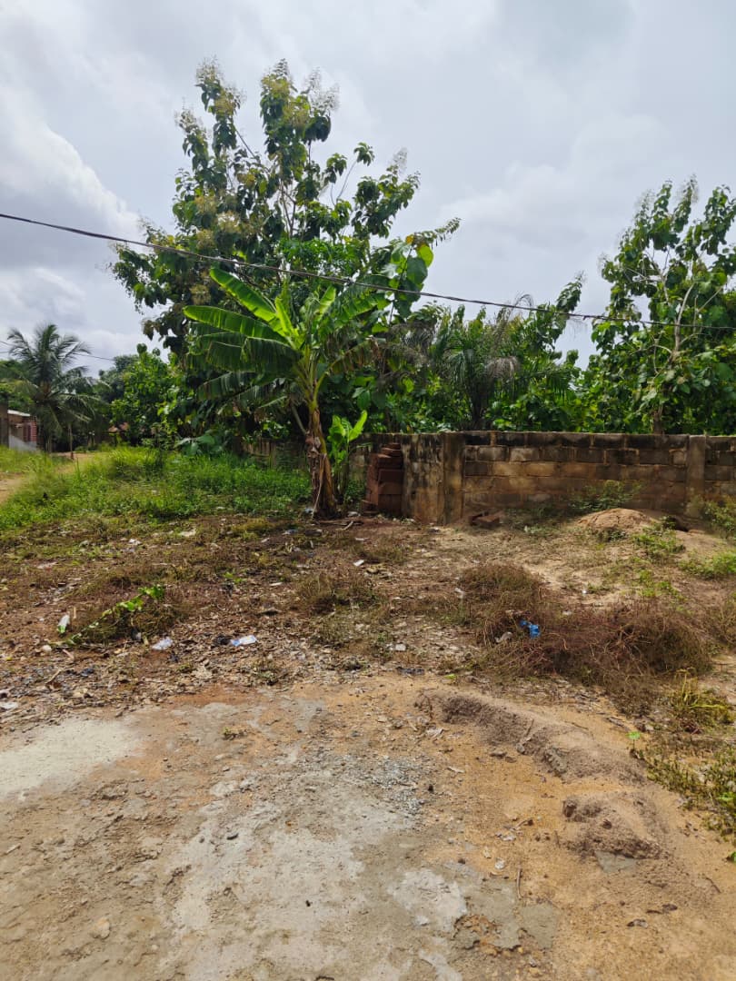 Terrain de 1200 m² en vente à Zanguera Klémé - 20 millions FCFA le lot