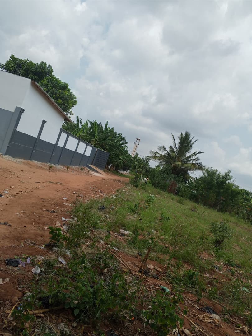 Terrain de plus d'un lot (7a 27ca) en vente à Davié – 8 millions FCFA