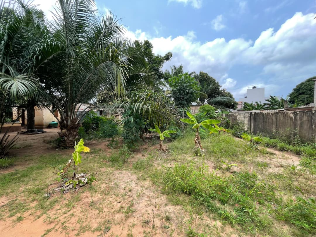 Terrain de 750 m² en vente à Totsi – 60 millions FCFA