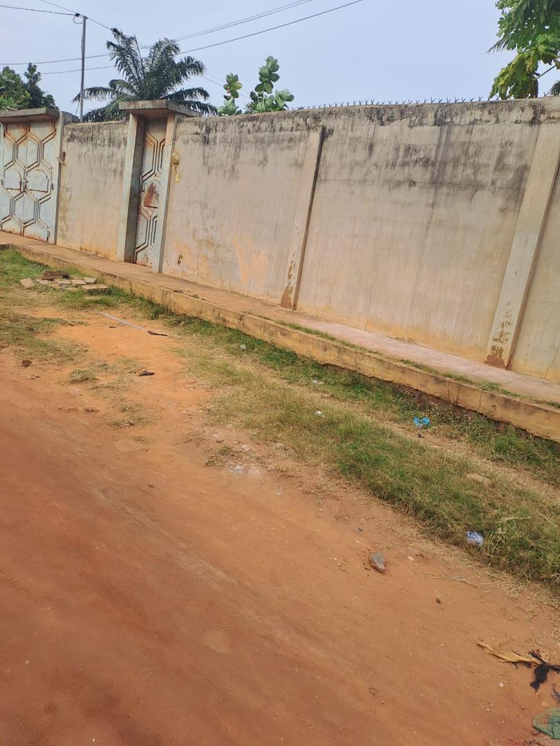 Terrain demi lot à vendre à Tokoin Habitat – 50 millions FCFA