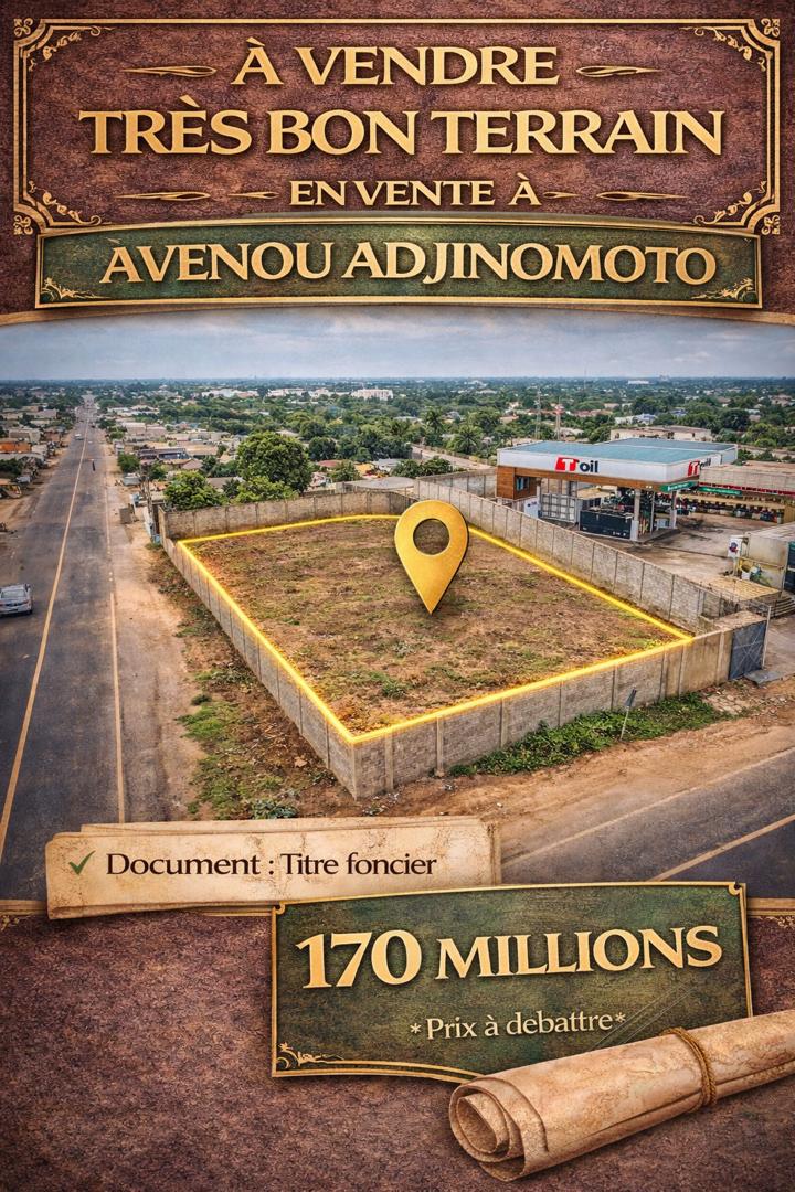 Terrain 1 lot en vente à Avenou Adjinomoto – 170 millions FCFA