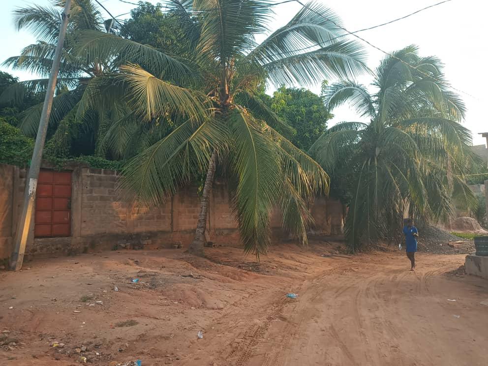 Terrain d'un lot clôturé et vide en vente à Kohé Adjarité Ecole Caméléon – 16 millions FCFA
