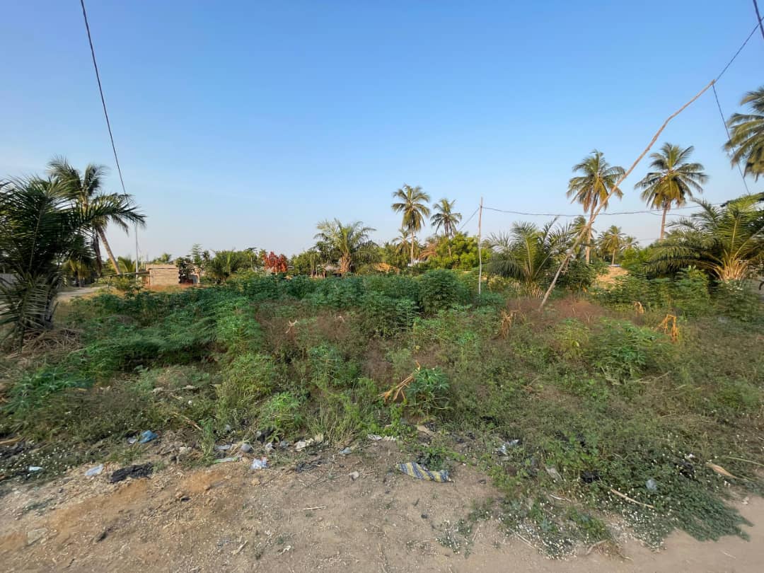 Terrain 1 lot en vente à Agbodrafo Djassémé – 12 millions FCFA