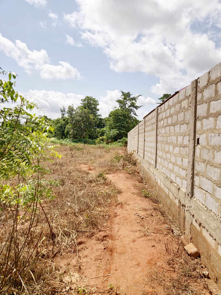 2 lots (1200 m²) en vente à Mission-Tové Moekopé – 7.500.000 FCFA