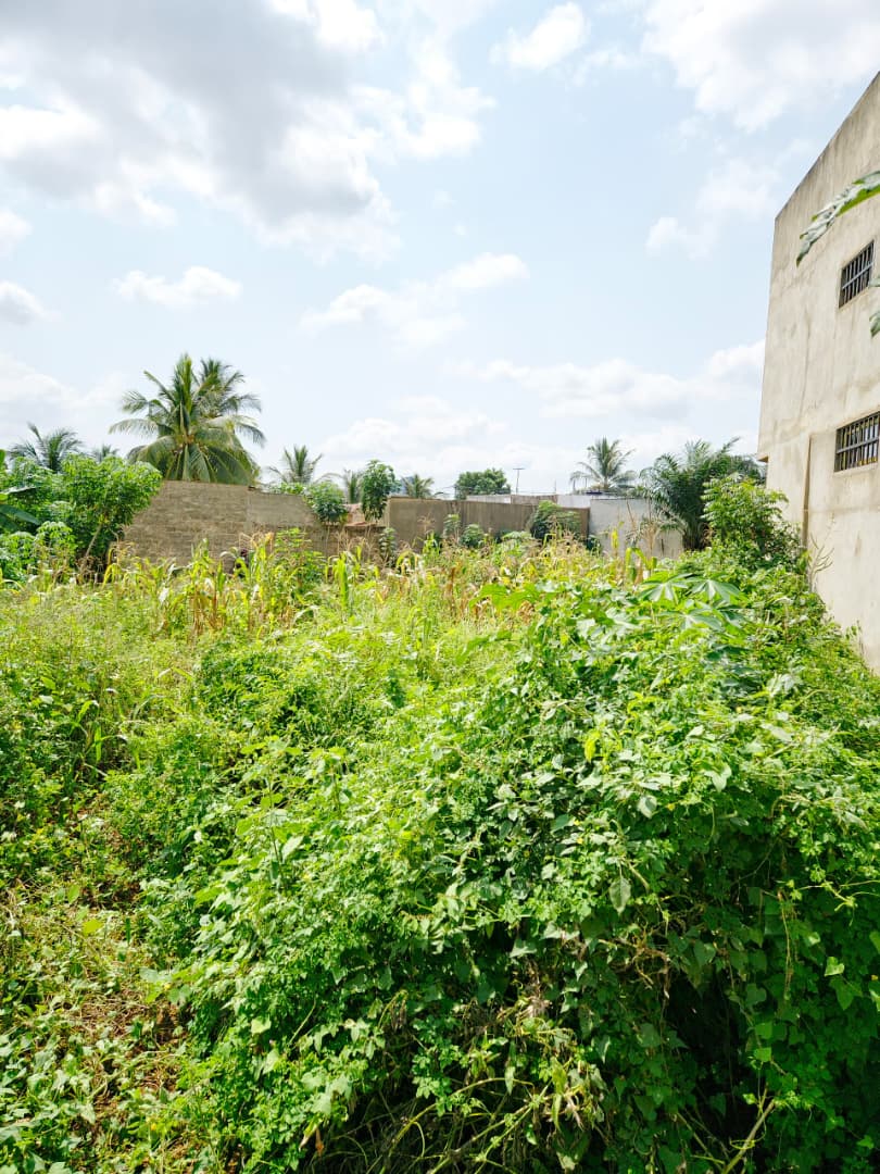 Terrain de 340 m² en vente à Legbassito – 15,5 millions FCFA