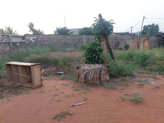 Terrain à vendre à Agoè – 21500000 FCFA