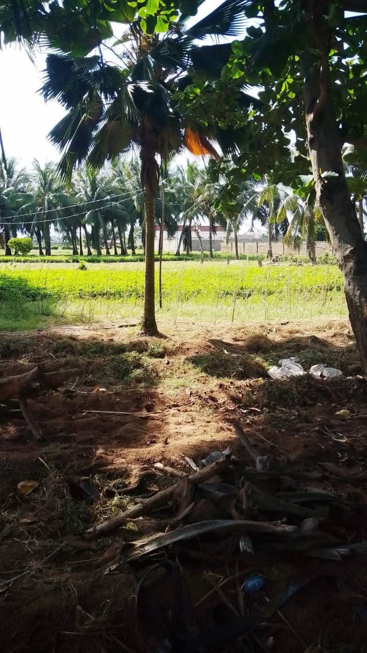 Terrain de 4 lots en vente en bordure de goudron à Agbodrafo côté plage – 17 millions FCFA le lot