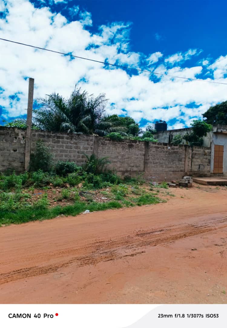 Terrain à vendre à Vakpossito – 30 Millions FCFA