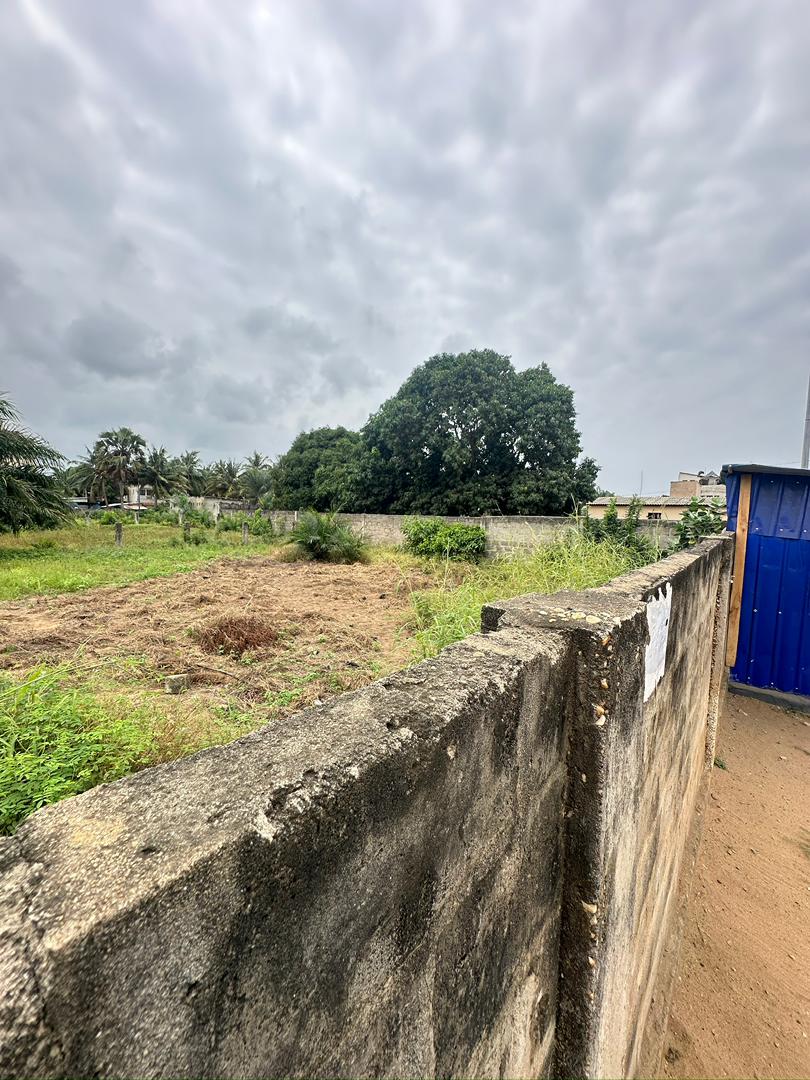 Terrain de 5 lots en vente à Baguida – 35 millions FCFA le lot