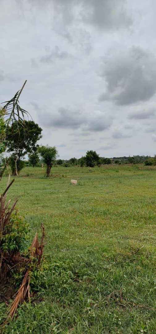 À VENDRE : 55 LOTS DISPONIBLES À ADÉTIKOPÉ TONOUKOUTI (ADOU-GODO)