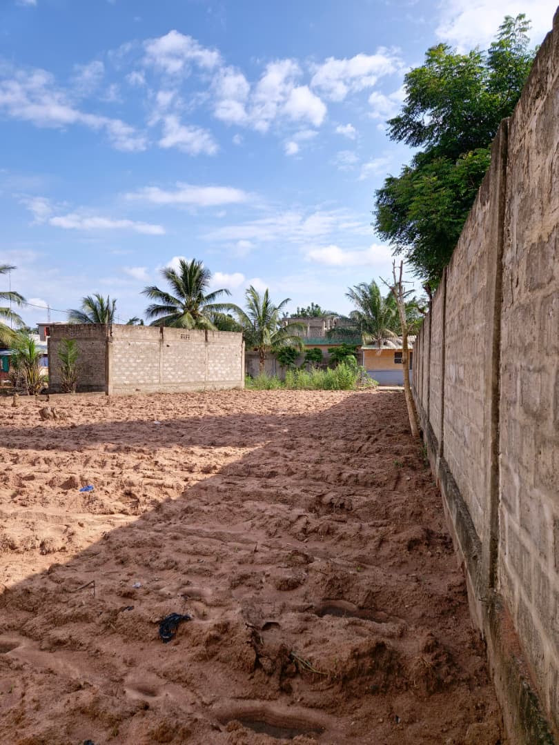 Terrain à vendre à Légbassito-Zovadjin – 15 Millions FCFA