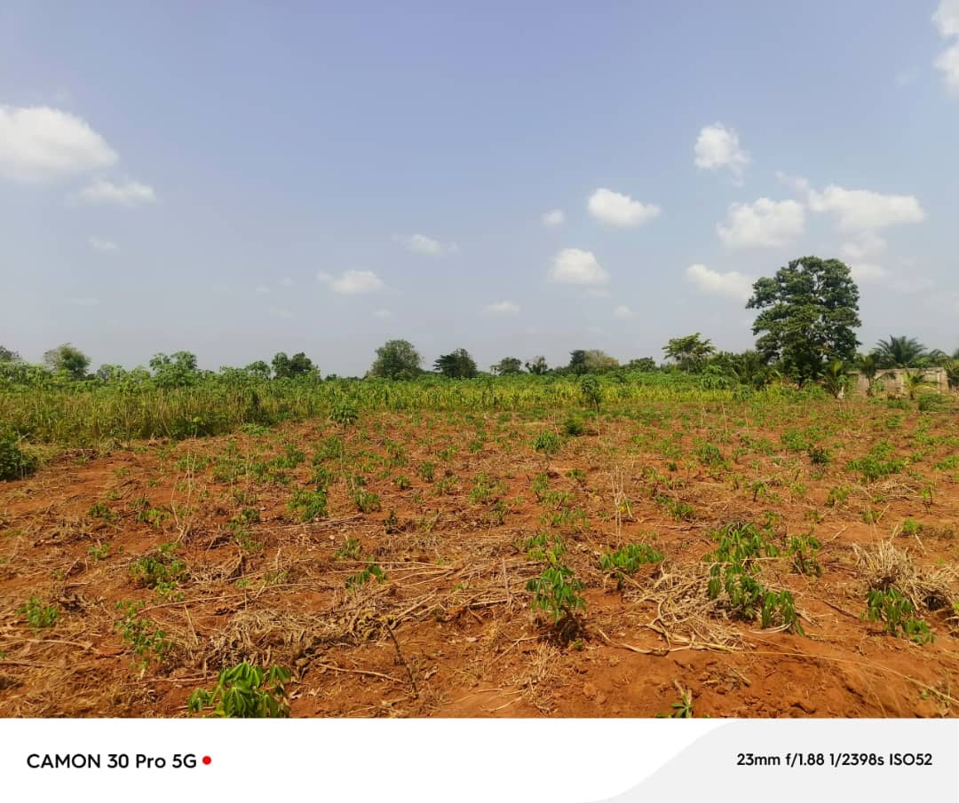 100 LOTS À VENDRE À NOÈPÉ – 10 HECTARES DÉJÀ LOTIS – À 400M DU GOUDRON LOMÉ-KPALIMÉ RN5 – TITRE FONCIER