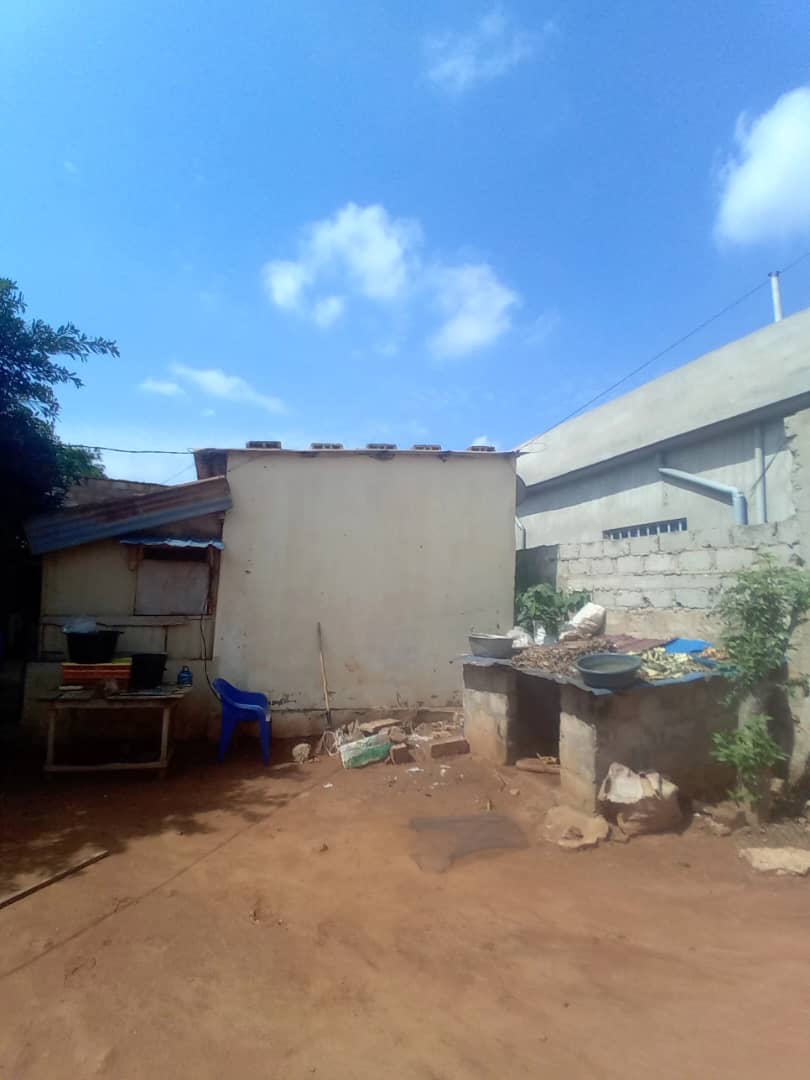 Terrain d'un demi-lot (300 m²) à vendre à Agoè Sogbossito Somayaf à 100 m du goudron – 20 millions FCFA