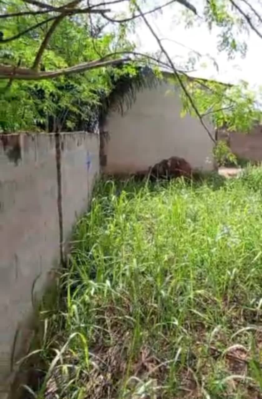 Terrain 1 lot en vente en angle de rue à Adidogomé Sagbado – 20 millions FCFA