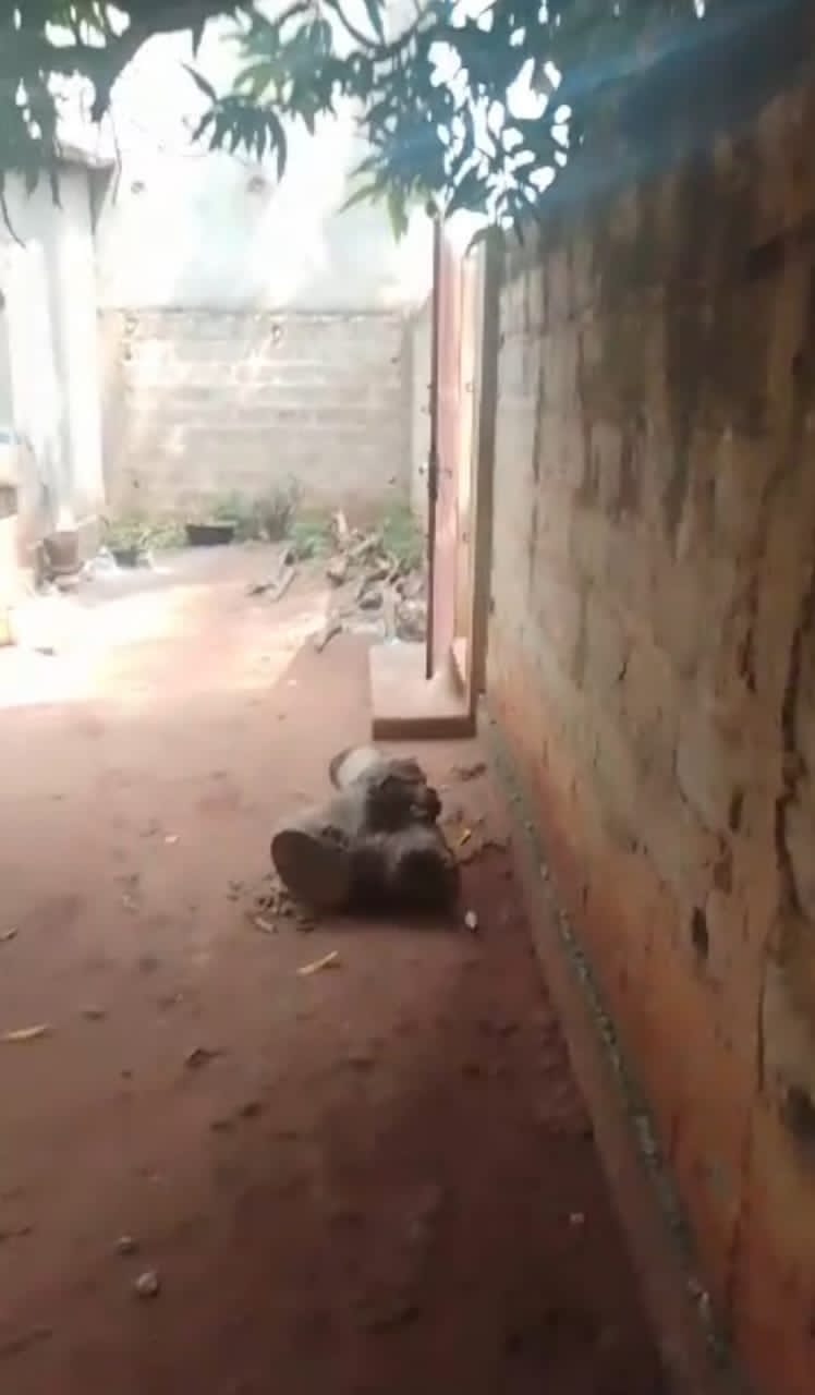 Terrain à vendre à Agoe – 10 Millions FCFA