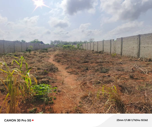 100 LOTS À VENDRE À NOÈPÉ – 10 HECTARES DÉJÀ LOTIS – À 400M DU GOUDRON LOMÉ-KPALIMÉ RN5 – TITRE FONCIER