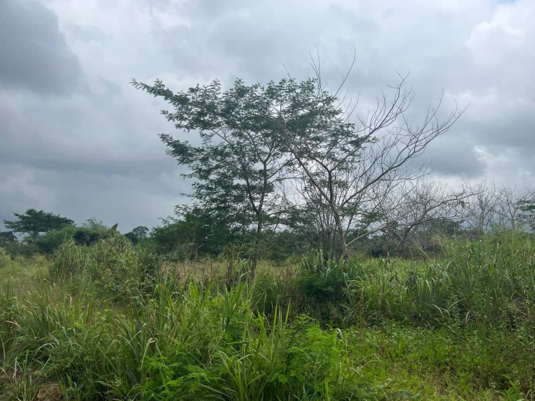 Terrain en vente à Gapé Centre Atigomé Dakui – 1 million FCFA le lot