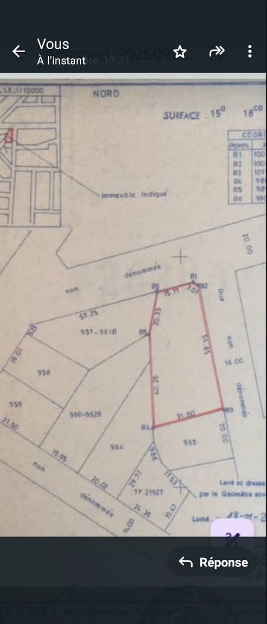 Terrain de 2 lots et 1/2 collés en vente en angle de rue à Agoé Assiyéyé – 60 millions FCFA le lot